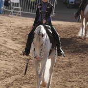 2012 Scottsdale Show | Days 1 & 2