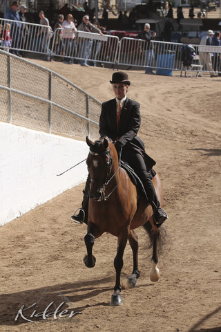 2012 Scottsdale Show | Days 1 & 2