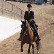 2012 Scottsdale Show | Days 1 & 2