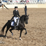 2012 Scottsdale Show | Days 1 & 2