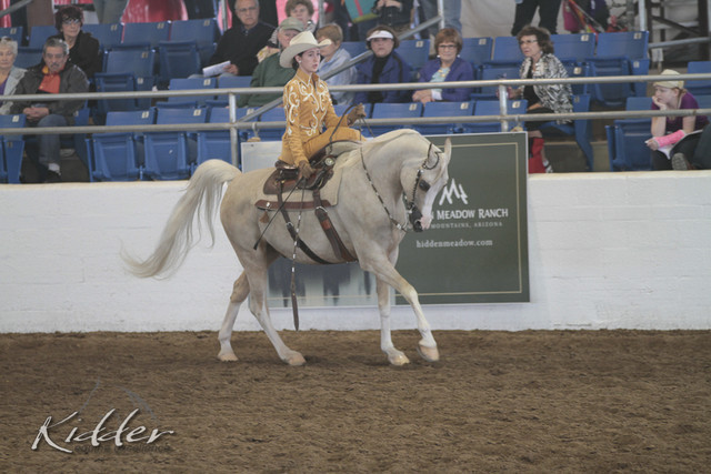 2012 Scottsdale Show | Days 1 & 2
