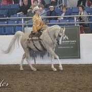 2012 Scottsdale Show | Days 1 & 2