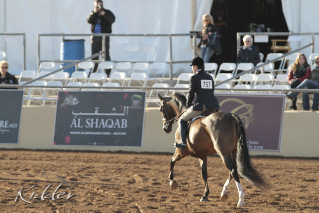 2012 Scottsdale Show | Days 1 & 2