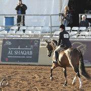 2012 Scottsdale Show | Days 1 & 2