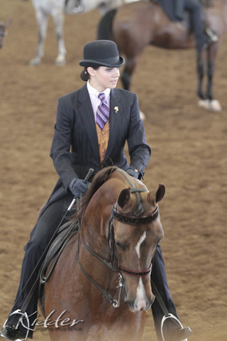 2012 Scottsdale Show | Days 1 & 2