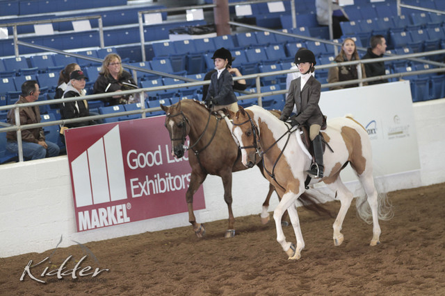 2012 Scottsdale Show | Days 1 & 2
