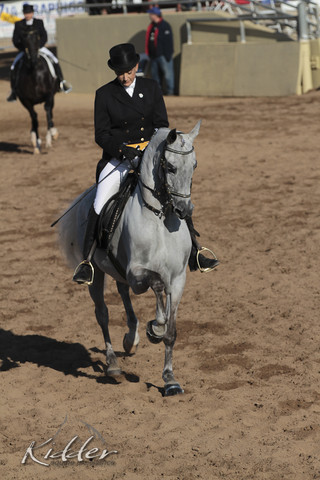 2012 Scottsdale Show | Days 1 & 2