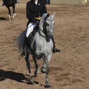 2012 Scottsdale Show | Days 1 & 2