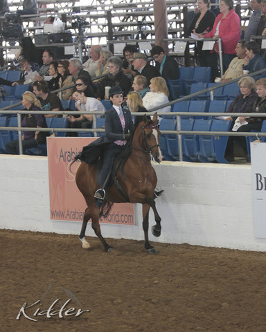 2012 Scottsdale Show | Days 1 & 2