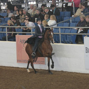 2012 Scottsdale Show | Days 1 & 2
