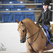 2012 Scottsdale Show | Days 1 & 2