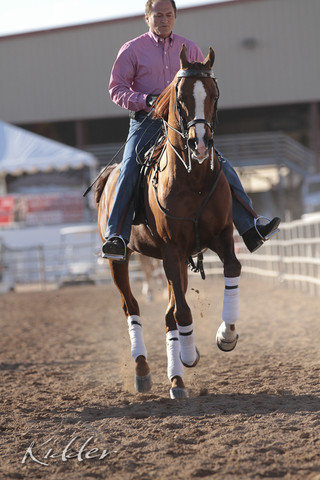 2012 Scottsdale Show | Days 1 & 2
