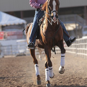 2012 Scottsdale Show | Days 1 & 2