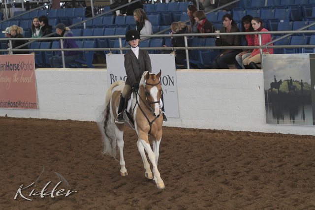 2012 Scottsdale Show | Days 1 & 2