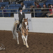 2012 Scottsdale Show | Days 1 & 2