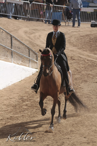 2012 Scottsdale Show | Days 1 & 2