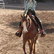 2012 Scottsdale Show | Days 1 & 2