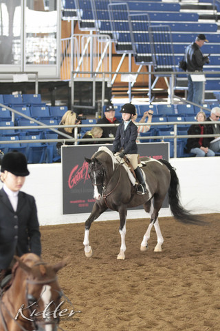 2012 Scottsdale Show | Days 1 & 2