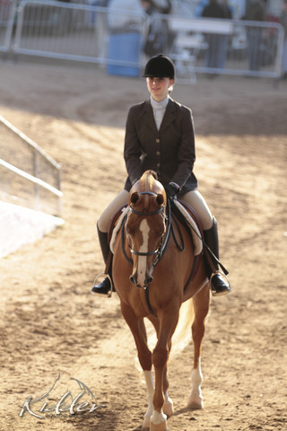 2012 Scottsdale Show | Days 1 & 2