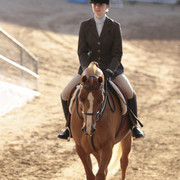 2012 Scottsdale Show | Days 1 & 2