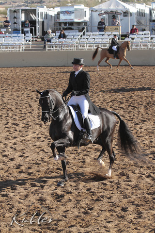 2012 Scottsdale Show | Days 1 & 2