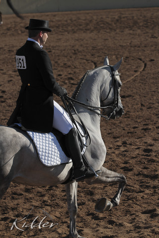 2012 Scottsdale Show | Days 1 & 2