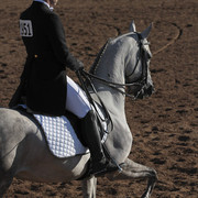 2012 Scottsdale Show | Days 1 & 2