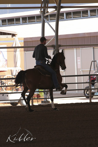 2012 Scottsdale Show | Days 1 & 2