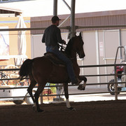 2012 Scottsdale Show | Days 1 & 2