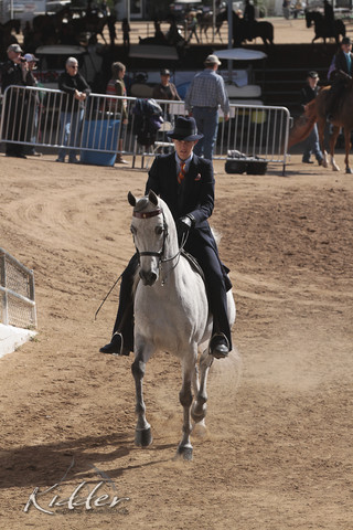 2012 Scottsdale Show | Days 1 & 2