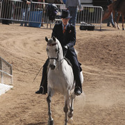 2012 Scottsdale Show | Days 1 & 2