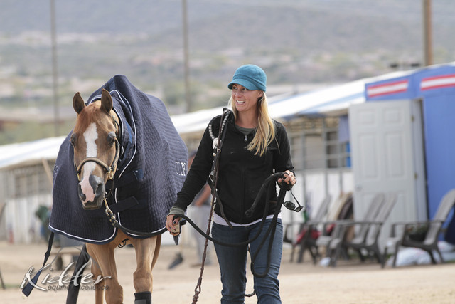 2012 Scottsdale Show | Days 1 & 2