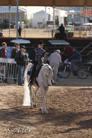2012 Scottsdale Show | Days 1 & 2