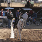 2012 Scottsdale Show | Days 1 & 2