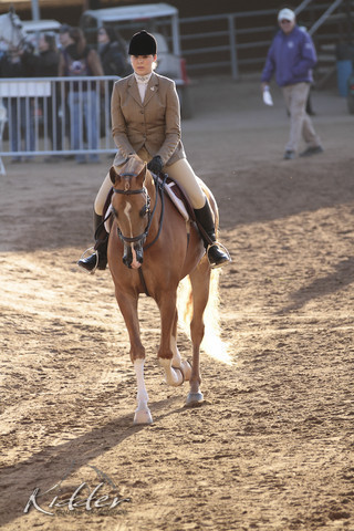 2012 Scottsdale Show | Days 1 & 2