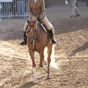 2012 Scottsdale Show | Days 1 & 2