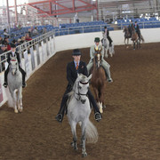 2012 Scottsdale Show | Days 1 & 2