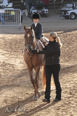 2012 Scottsdale Show | Days 1 & 2