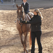 2012 Scottsdale Show | Days 1 & 2