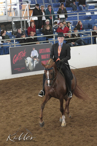 2012 Scottsdale Show | Days 1 & 2