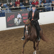 2012 Scottsdale Show | Days 1 & 2