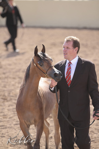 2012 Scottsdale Show | Days 1 & 2