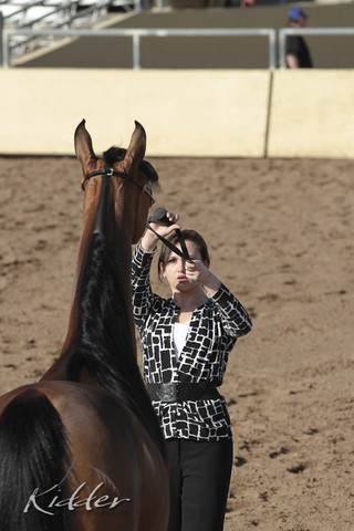 2012 Scottsdale Show | Days 1 & 2