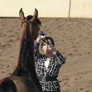 2012 Scottsdale Show | Days 1 & 2