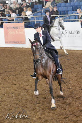 2012 Scottsdale Show | Days 1 & 2