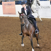 2012 Scottsdale Show | Days 1 & 2