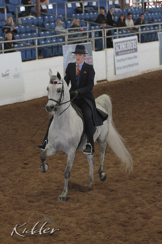 2012 Scottsdale Show | Days 1 & 2