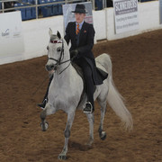 2012 Scottsdale Show | Days 1 & 2