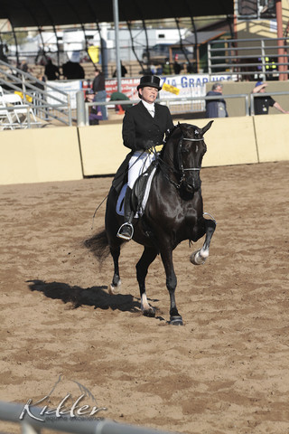 2012 Scottsdale Show | Days 1 & 2