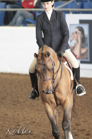 2012 Scottsdale Show | Days 1 & 2